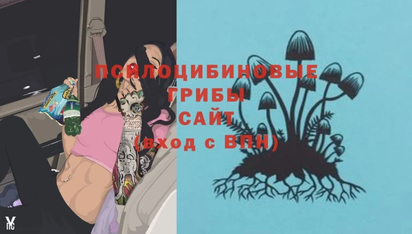 гидра Алексеевка