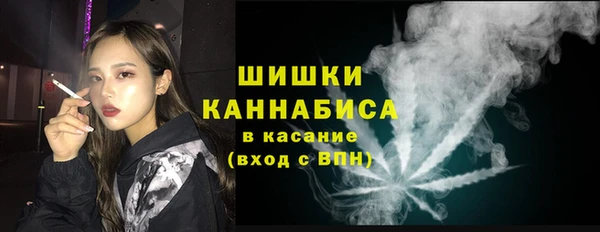 СК Алексин