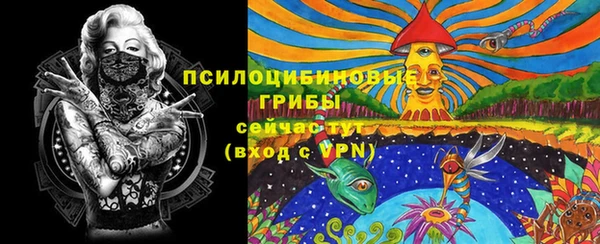гидра Алексеевка