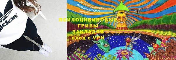 СК Алексин