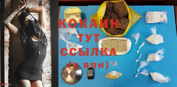 стафф Алзамай