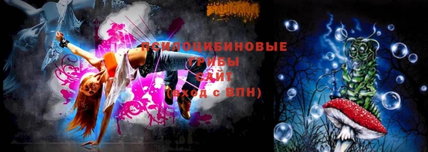 гидра Алексеевка