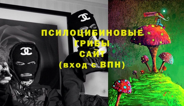 гидра Алексеевка