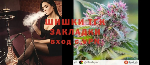 СК Алексин