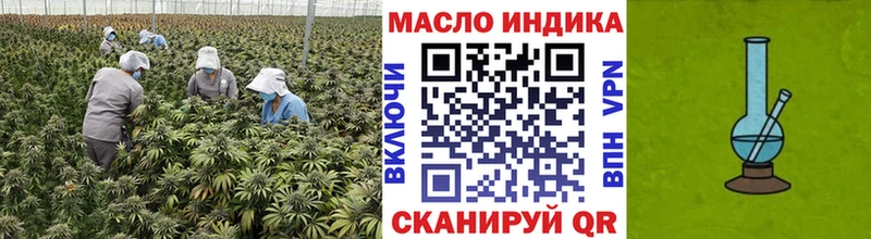 ТГК гашишное масло  Купить где  Куса 