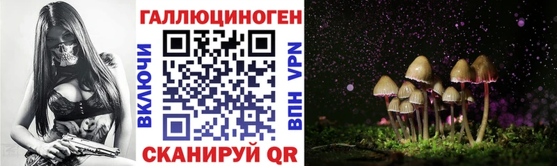 Купить закладки  Куса  Галлюциногенные грибы Psilocybine cubensis 